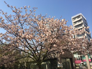 IMG_0059